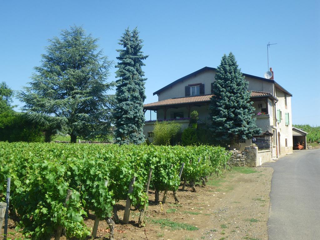 La Maison Des Prouges Bed and Breakfast Fuissé Esterno foto